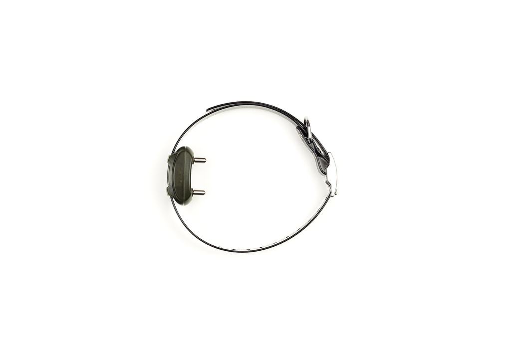 EXTRA MICRO COLLAR IV S.S.C + MICRO CHARGING KIT