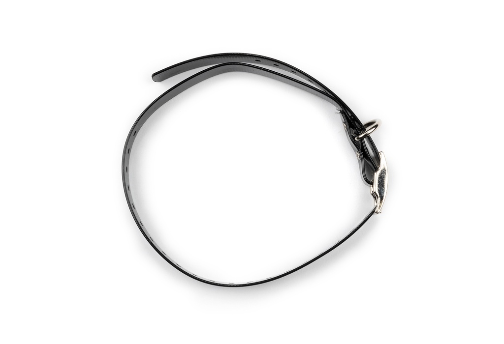 BIOTHANE STRAP 3/4